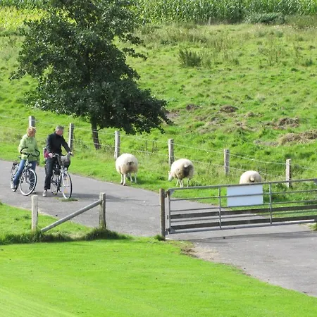 Apartament Rosenhof12 Büsumer Deichhausen